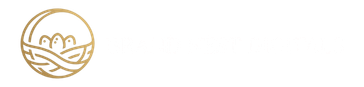 BrandNest Logo